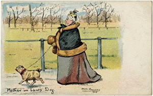 Mothe Gallery: The Mother-in-Laws dog