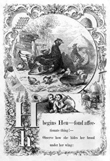 Images Dated 3rd July 2017: The Mothers Picture Alphabet -- H