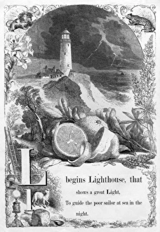 Images Dated 3rd July 2017: The Mothers Picture Alphabet -- L