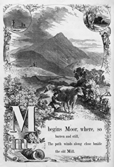 Images Dated 3rd July 2017: The Mothers Picture Alphabet -- M