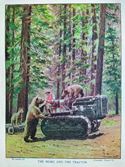 Curiosity Collection: The Motor Picture Book, The Bears and the Tractor