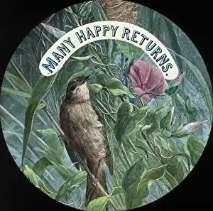 Many Prints: Mottos - Many Happy Returns