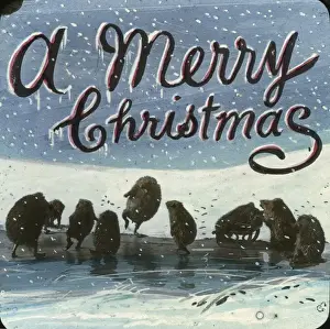 Mottos - A Merry Christmas