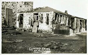 Images Dated 12th April 2022: Moudros, Lemnos, Greece - Curing Skins. The sheepskins were used to make shoes