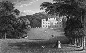 Edgcumbe Prints: Mount Edgcumbe, Devon