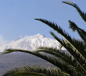 Mount Etna, with palm fronds, Sicily, Italy