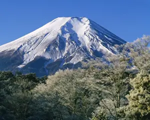 Fuji Prints: Mount Fuji