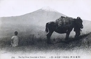 Fuji Prints: Mount Fuji, Japan - from Otometoge at Hakone