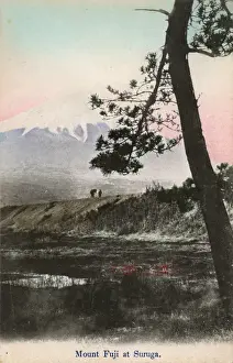 Fuji Prints: Mount Fuji, Japan - At Saruga