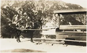 Mount Lowe scenic railway