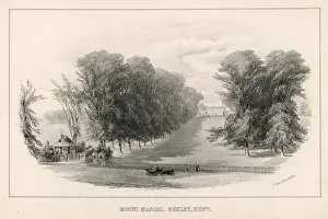 Mansions Prints: Mount Mascal, Bexley