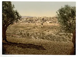 Olives Prints: From the Mount of Olives, general view, Jerusalem, Holy Land
