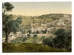 Olives Prints: Mount of Olives and Gethsemane, general view, Jerusalem