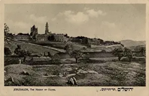 Olives Prints: Mount of Olives, Jerusalem