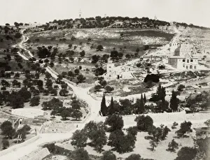 Geology Prints: Mount of Olives, Jerusalem, modern Israel