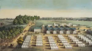 Pleasant Prints: Mount Pleasant Hospitals, Washington, D. C
