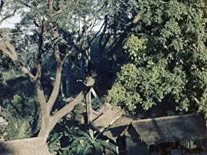 Pleasant Prints: Mount Pleasant village - Rangoon