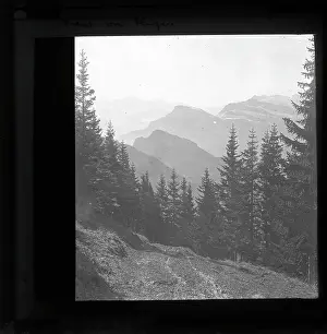 Rigi Prints: On Mount Rigi, Switzerland