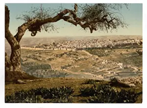 From Mount Scopus, Jerusalem, Holy Land