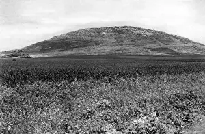 Galilee Prints: Mount Tabor, Lower Galilee, Israel