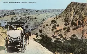 Sightseers Prints: Mountain Drive, Santa Catalina Island, California, USA
