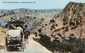Sightseers Gallery: Mountain Drive, Santa Catalina Island, California, USA