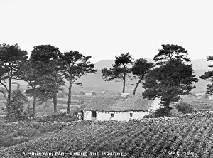 A Mountain Farm in the Mournes