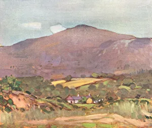 Nestled Prints: Mountain Landscape