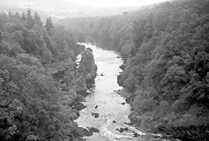 Wooded Collection: Mountain river flowing through a wooded valley