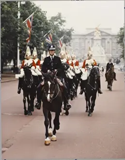 Mounted Police Officer