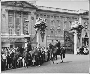 Mounted Police Officers
