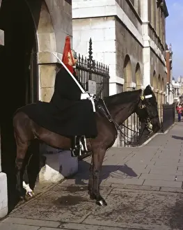 Shiny Prints: Mounted trooper of the Household Cavalry, Whitehall, London