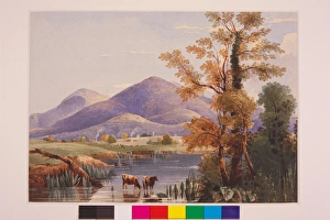 Images Dated 19th August 2004: Mourne Mountains from the Road near Castlewellan