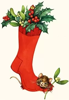 Images Dated 8th June 2007: Mouse in a Christmas sock