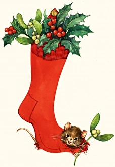 Images Dated 8th June 2007: Mouse in a Christmas sock