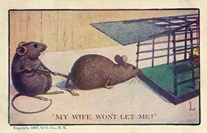 Cheese Collection: Mouse held away from Mousetrap
