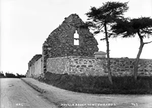 Movilla Abbey, Newtownards