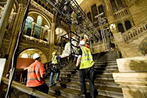 Central Hall Prints: Moving the Darwin statue