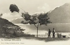 Hardanger Prints: Moving hay on a pulley system - Hardanger, Western Norway