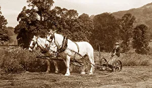Mowing