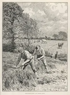 Mowing Prints: Mowing Clover