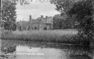 Grasses Prints: Moyles Court near Ringwood