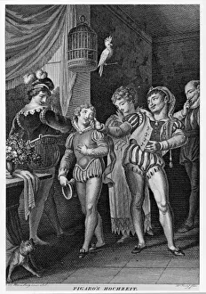 Expect Prints: Mozart / Nozze Di Figaro