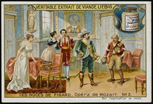 Mozart/Nozze/Liebig 2
