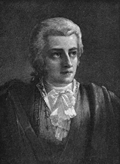 Images Dated 25th September 2012: Mozart Vogel