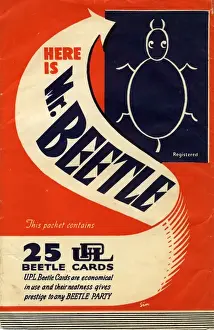 Publications Prints: Mr Beetle Party Game