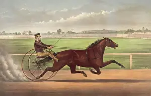 28th Prints: Mr. Bonners horse Joe Elliott, driven by J. Bowen: trotting
