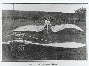 Flapping Prints: Mr E Wilson with Two Pettigrew Wing Type Ornithopters ?
