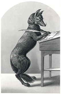 Mr Fox the Lawyer