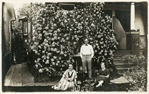 Mr and Mrs Ball in front of their impressive Rose, Toronto